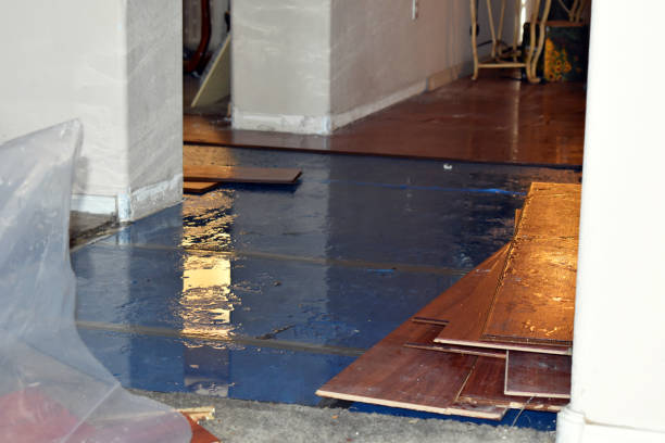 Professional Water Damage Restoration technician working in Westfield, MA